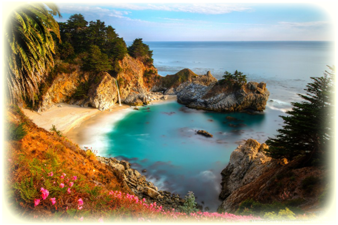 海